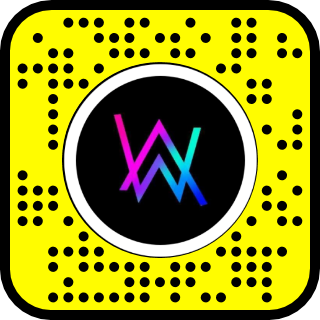 Lens K-391 Alan Walker QR Code